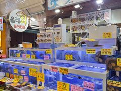 -西归浦每天偶来市场