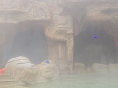 -观唐（国际）度假村温泉