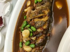 -苏启渔港(云南北路店)