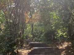 -上海佘山国家森林公园西佘山园