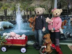 -济州岛泰迪熊博物馆