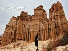 -元谋土林景区(物茂土林)
