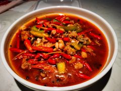 馋嘴蛙仔-杨氏青龙虾·羊蝎子(金盛路总店)