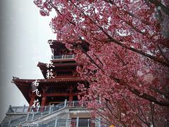 -古柏渡飞黄旅游区