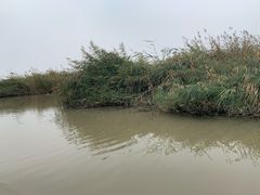 -哈素海