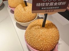 杨枝甘露金球杯-禄运茶居·手工点心(猎德店)