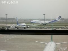 -全日本空输株式会社(上海办事处)