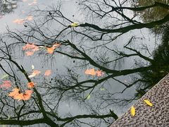 -星巴克(西湖天地店)