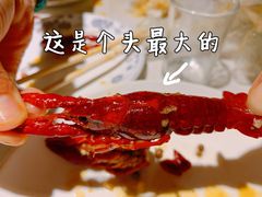 -蛙蛙叫干锅年代(簋街总店)