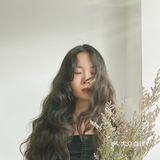 法式烫