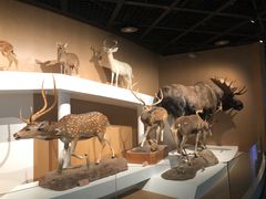 -陕西自然博物馆