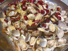 辣炒青岛花蛤-必点海鲜·鲅鱼水饺(鞍山西道店)