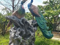 -丽泽山庄·生态怀柔菜·虹鳟鱼(红螺寺店)
