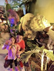 -恐龙探索乐园(磁器口店)