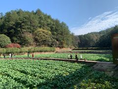-韶山毛泽东同志故居