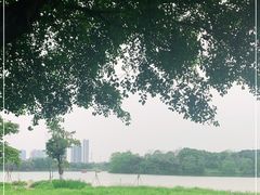 -飞来湖湿地公园