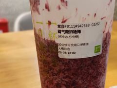 霸气酸奶杨梅-奈雪的茶(大梅沙8号仓店)