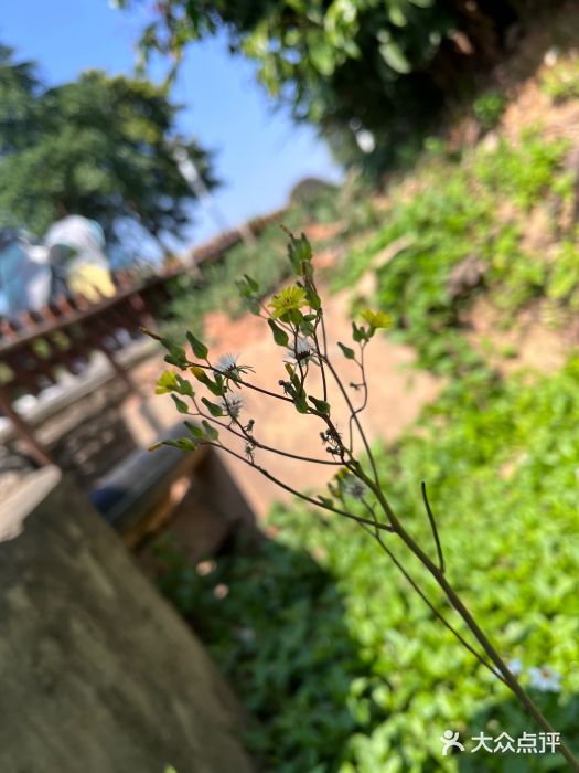 立新湖公园图片