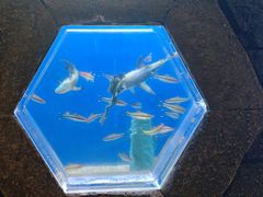 -华夏文旅西安度假区