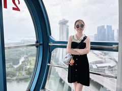 -新加坡摩天观景轮