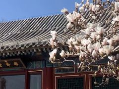-颐和园