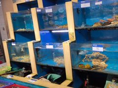 -鹰龙海畔度假酒店(咸祥店)