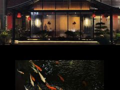 -龙悦湾酒家·八阵鱼生·渔人码头店