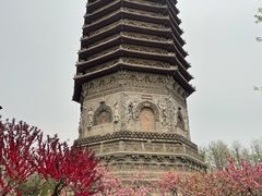 -玲珑塔公园