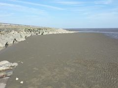 android_upload_pic-南汇嘴观海公园