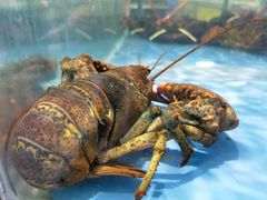 -天津金元宝滨海农产品交易市场(共发大道)