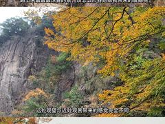 -大明山自然探索公园