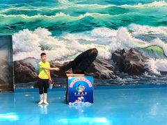 -多彩贵州城极地海洋世界