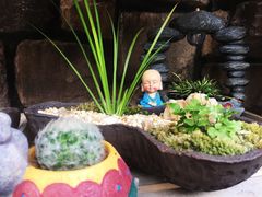 -得丘礼享谷·玉兰苑