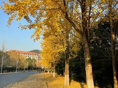 -浙江农林大学(东湖校区)