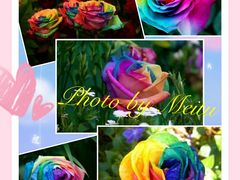 -真功夫(中医院店)