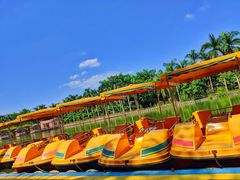 -揭东万竹园旅游景区