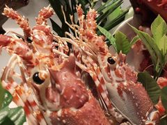 -Mr·Fish鱼鲜生海鲜放题(银泰in99店)