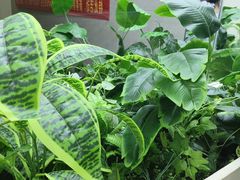 -阳光游泳培训(北苑店)