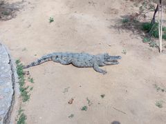 -石家庄市动物园