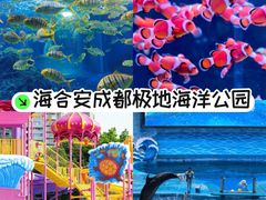 -海合安成都极地海洋公园