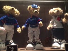 -济州岛泰迪熊博物馆