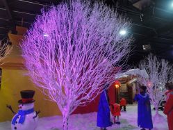 -圣名游乐城冰雪大世界