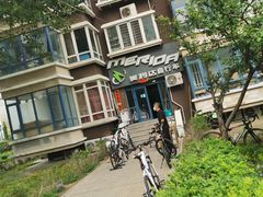 -美利达自行车(天通西苑一区店)