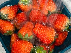 -百果园PAGODA(中铭豪园店)