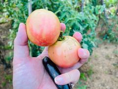 -禅宗少林·音乐大典