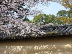 -醍醐寺