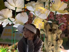 -芜湖方特东方神画