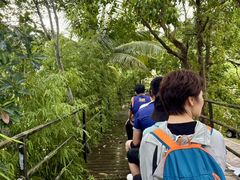 -海南槟榔谷黎苗文化旅游区