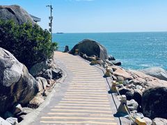 -广东惠东海龟国家级自然保护区