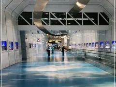 -广州白云国际机场-T2航站楼